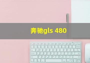 奔驰gls 480